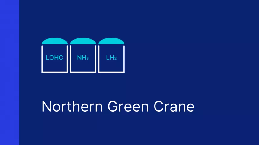 Northern Green Crane