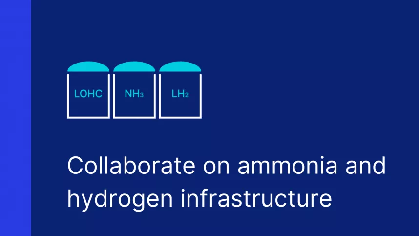 Collaborate on ammonia and hydrogen infrastructure